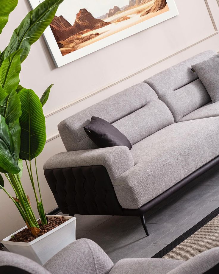 Grey Contemporary Sofa Set by IGC Construction Company Ltd